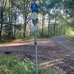 Wunderschoene Auf Dem Bauernhof * Greven (Steinfurt)