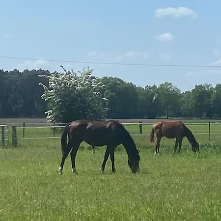 Apartmán Wunderschoene Auf Dem Bauernhof *