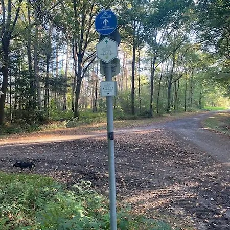 Wunderschoene Auf Dem Bauernhof * Greven