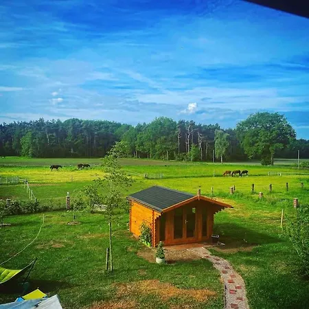Wunderschoene Auf Dem Bauernhof * Greven (Steinfurt)