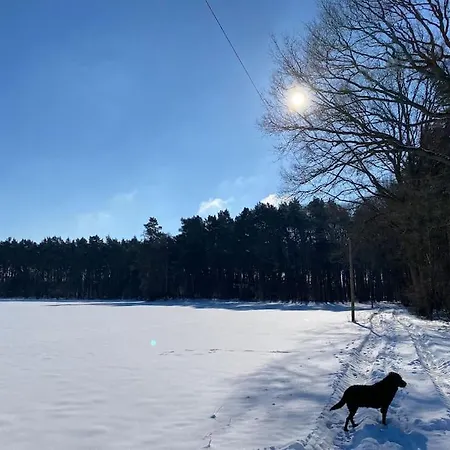 Wunderschoene Auf Dem Bauernhof Гревен