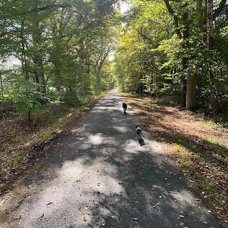 Apartment Wunderschoene Auf Dem Bauernhof *