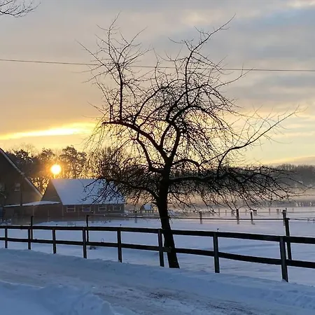 Wunderschoene Auf Dem Bauernhof *