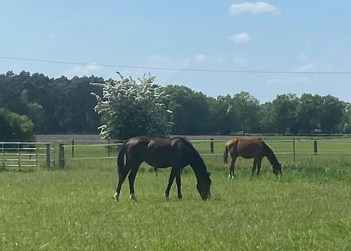Lejlighed Wunderschoene Auf Dem Bauernhof *