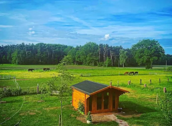 Wunderschoene Auf Dem Bauernhof * Greven (Steinfurt)