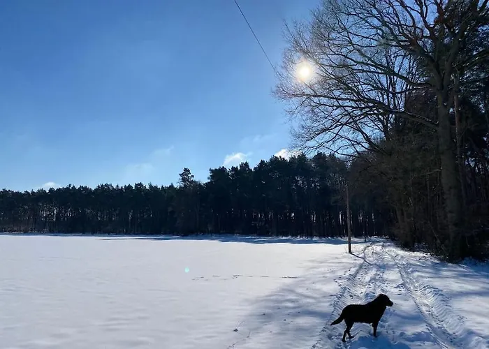 Wunderschoene Auf Dem Bauernhof Greven (Steinfurt)