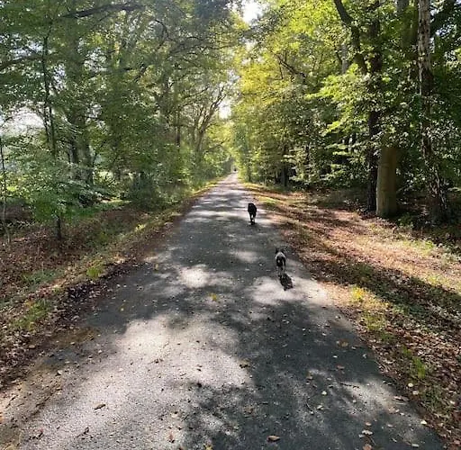 Apartment Wunderschoene Auf Dem Bauernhof *