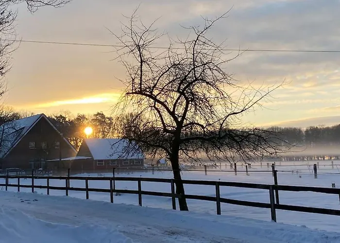 Wunderschoene Auf Dem Bauernhof *